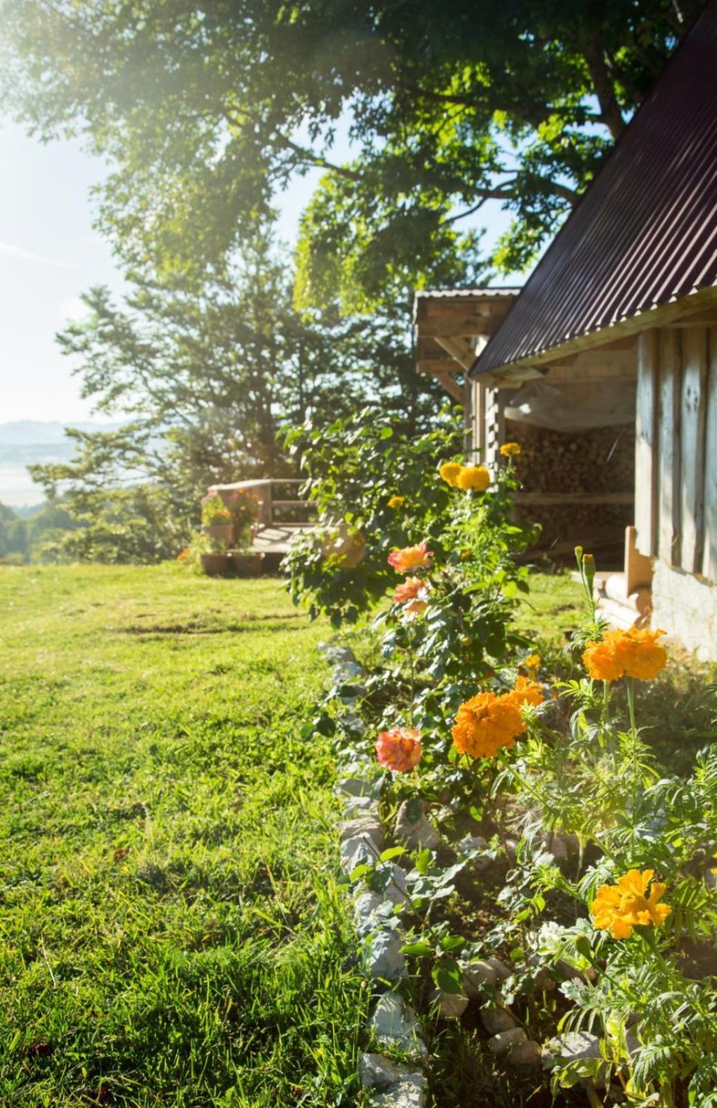 Maple Village Žabljak Eksteriør billede