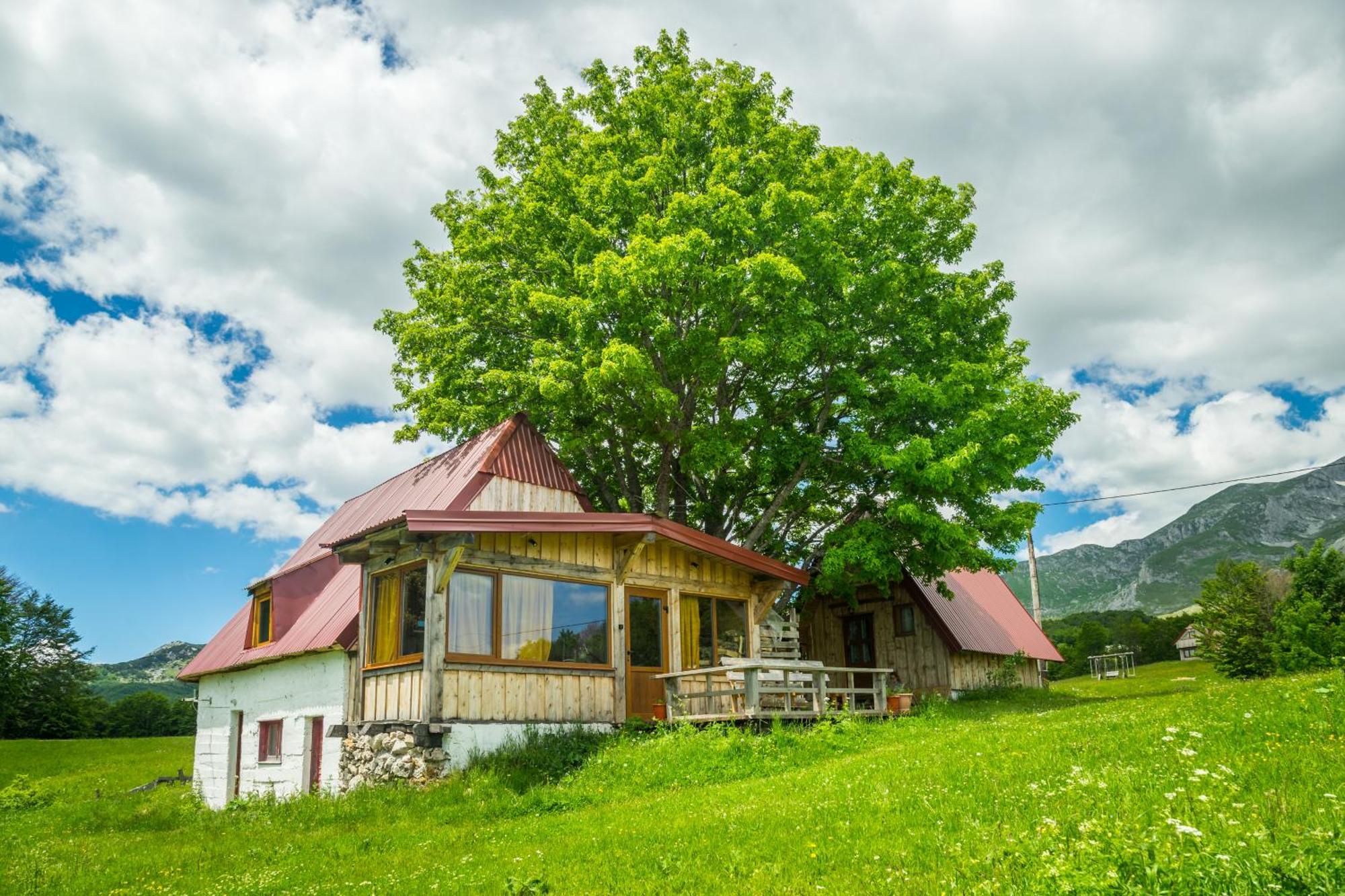 Maple Village Žabljak Eksteriør billede