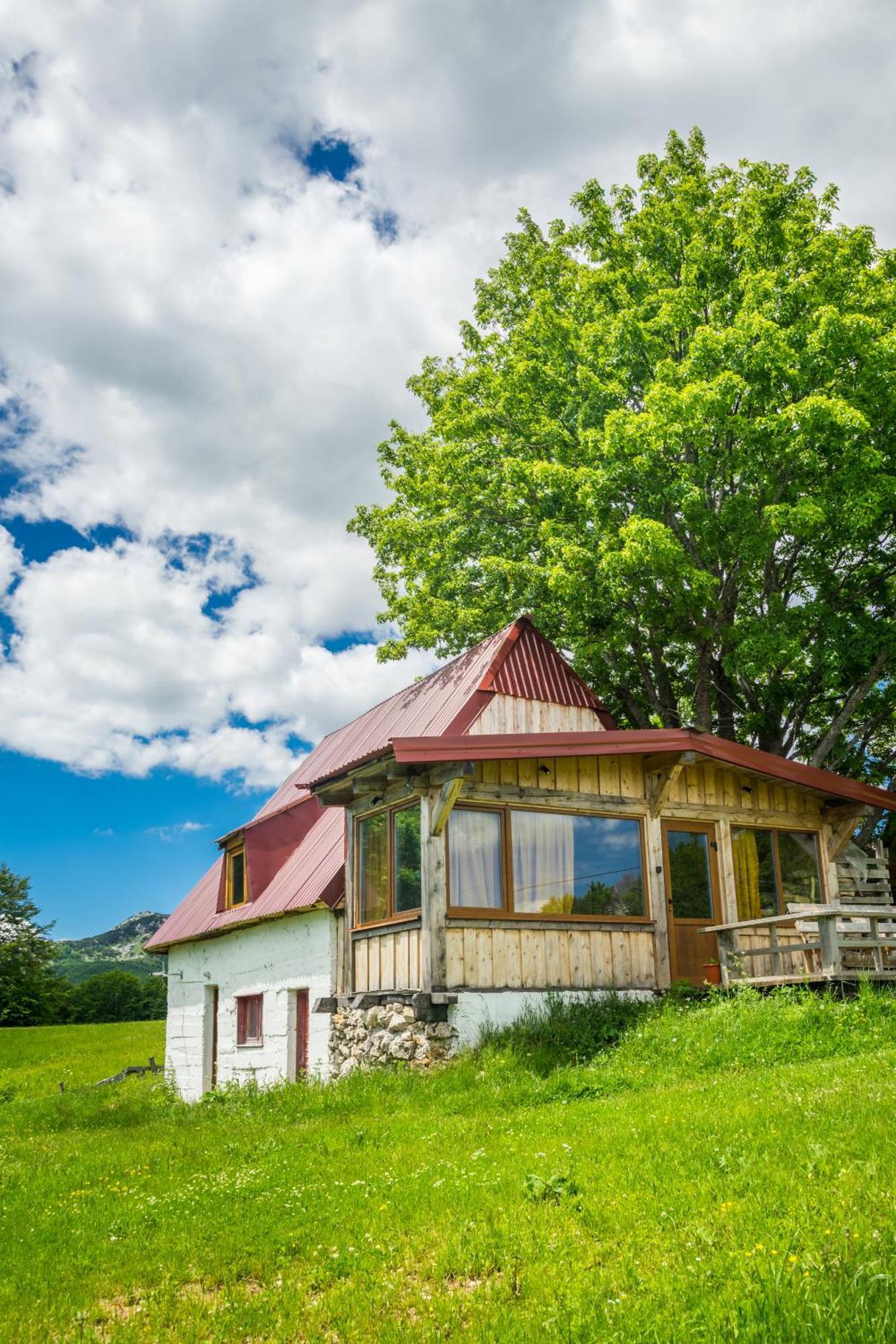 Maple Village Žabljak Eksteriør billede